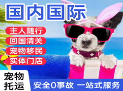 左旗巴彦浩特航空邮寄国际宠物托运 【国